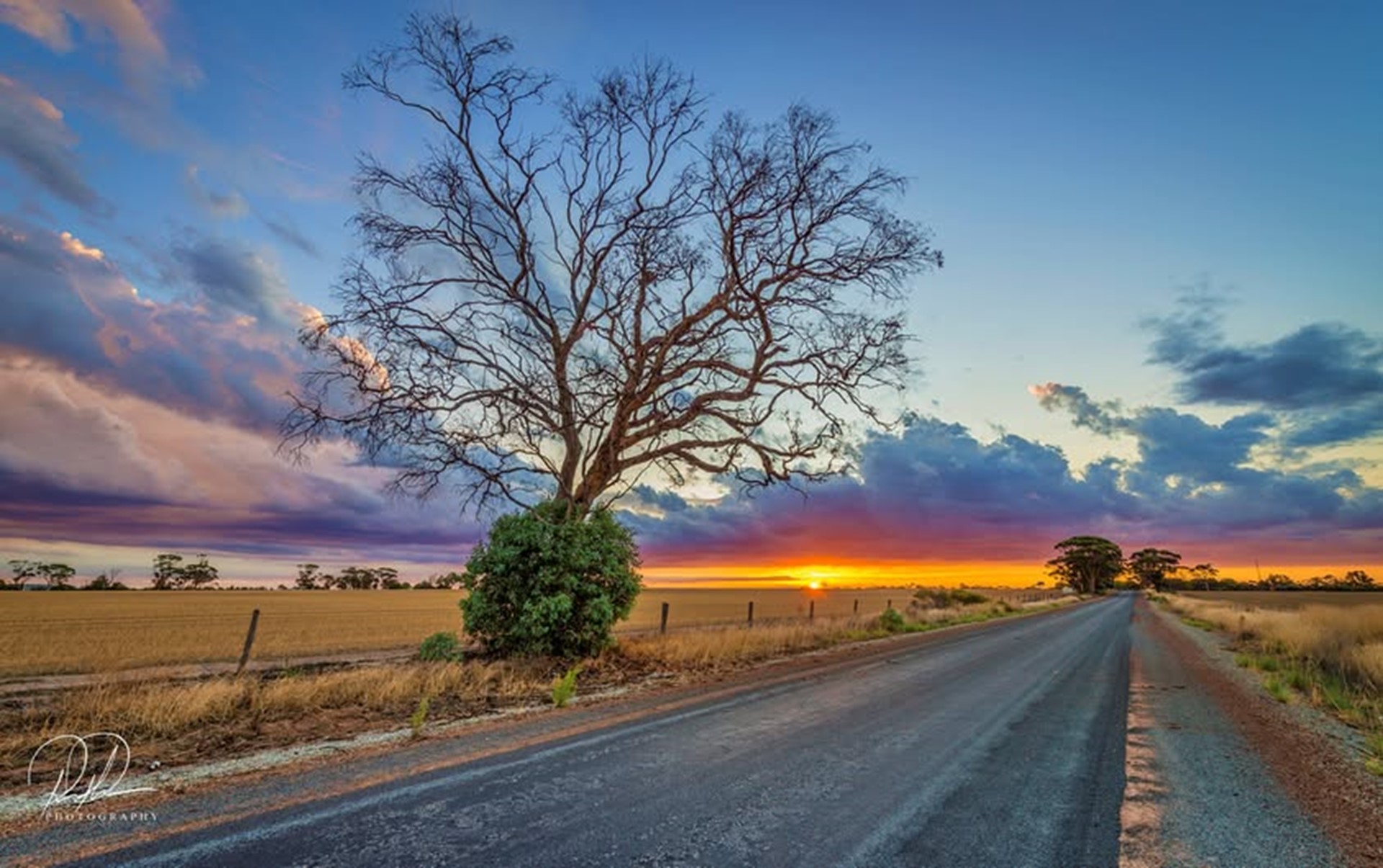Shire Secures $1.95 Million to Expand Road Safety Improvements on Wongan