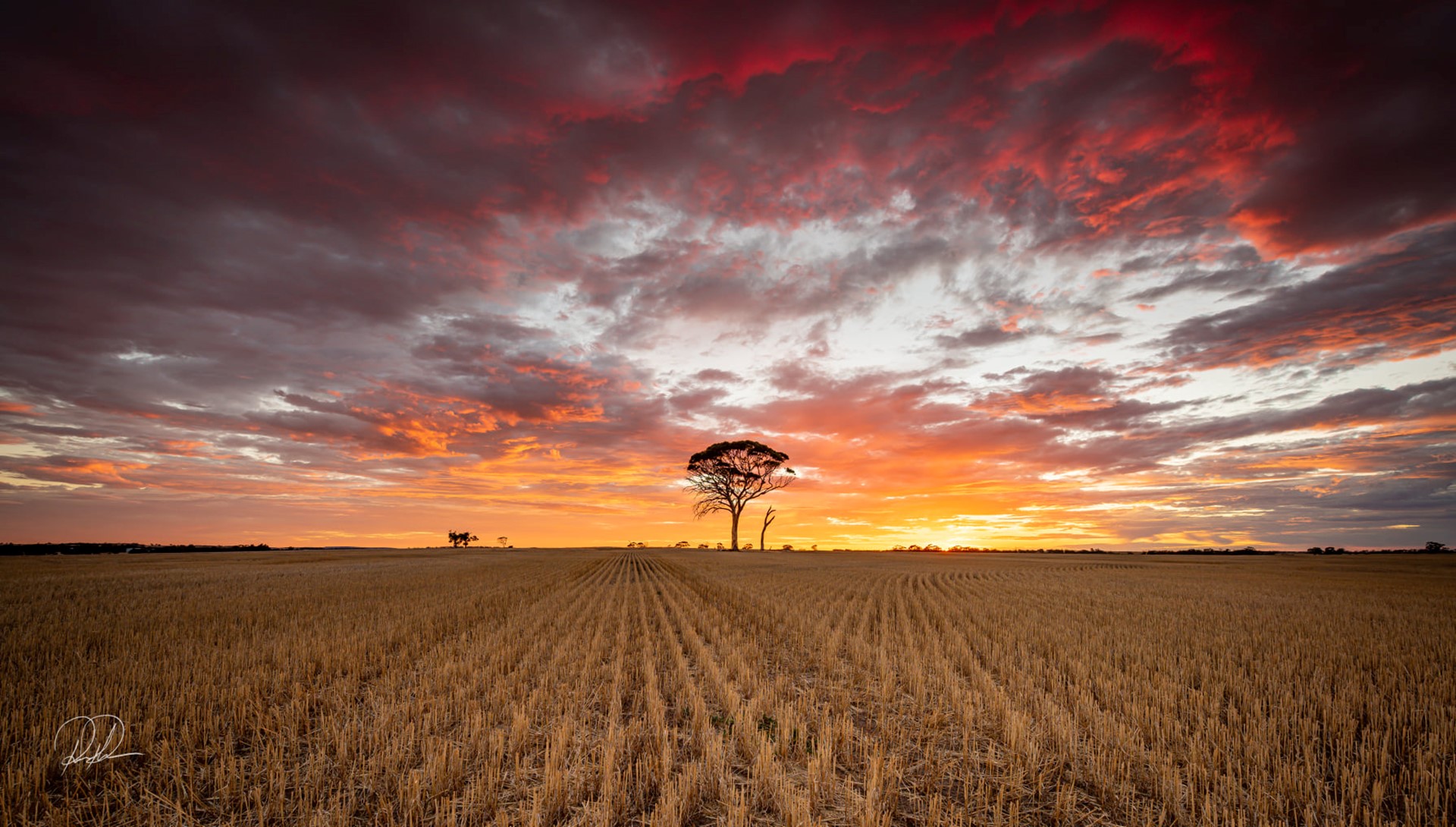 Picture: Yerecoin Sunrise
